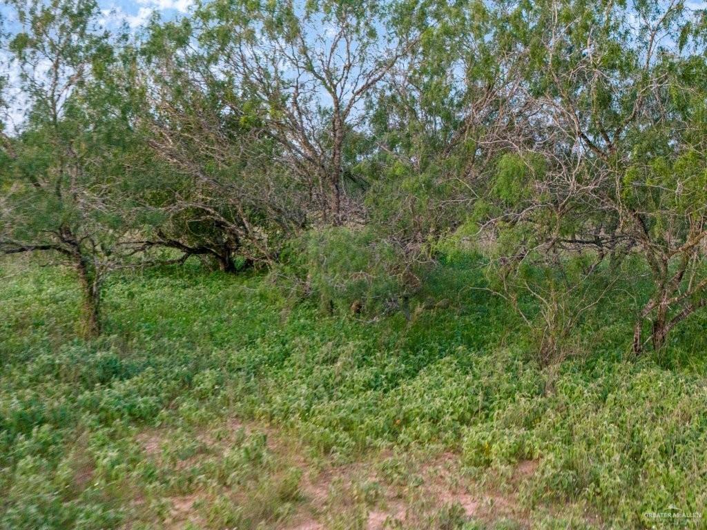Photo 10 of 142 Old San Isidro Road