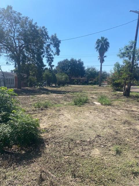 Photo 2 of 223 Schunior Street