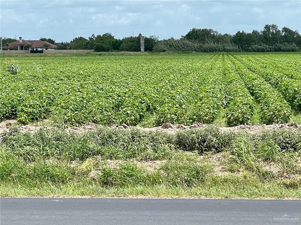 Photo 1 of TBD Military Road, Progreso