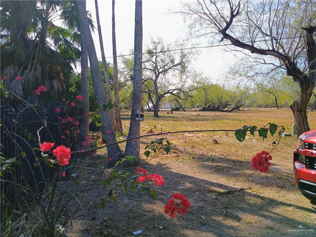 Photo 4 of 972 Kika De La Garza Boulevard
