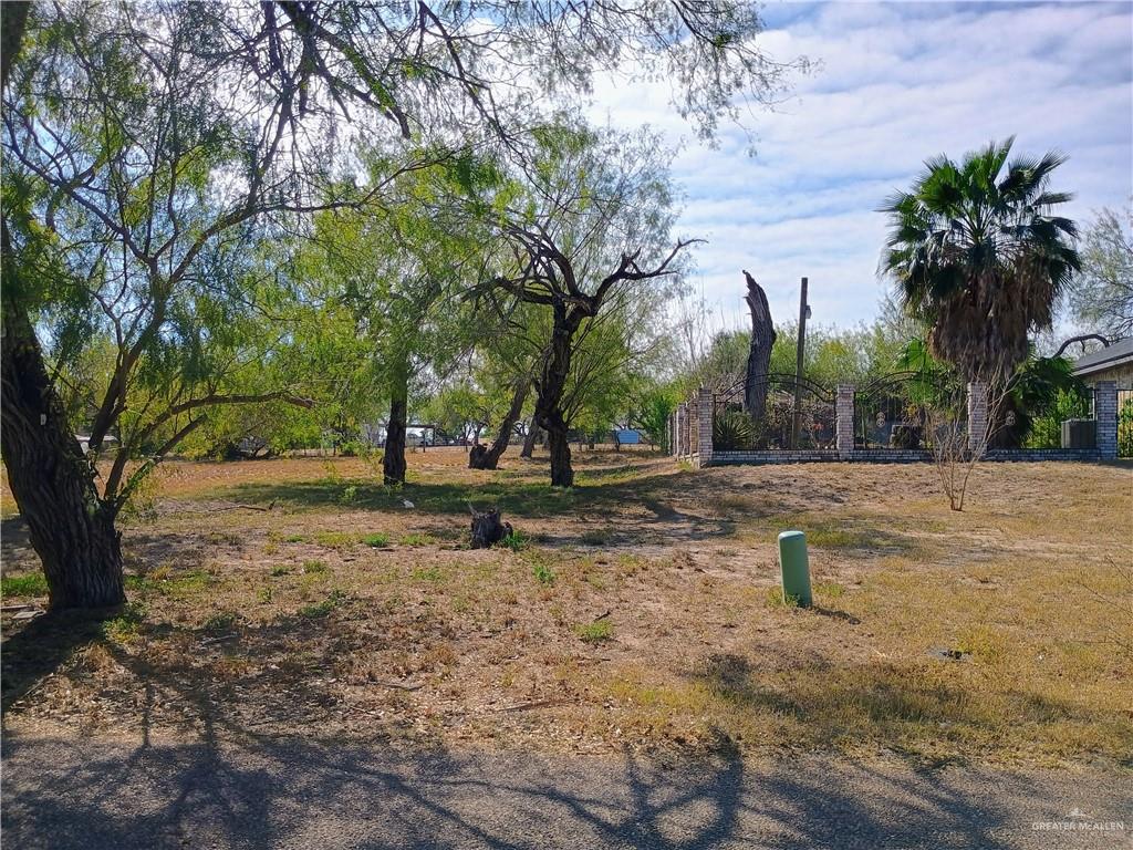 Photo 6 of 972 Kika De La Garza Boulevard