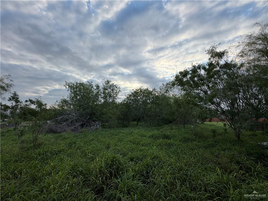 Photo 17 of 0 FM 493