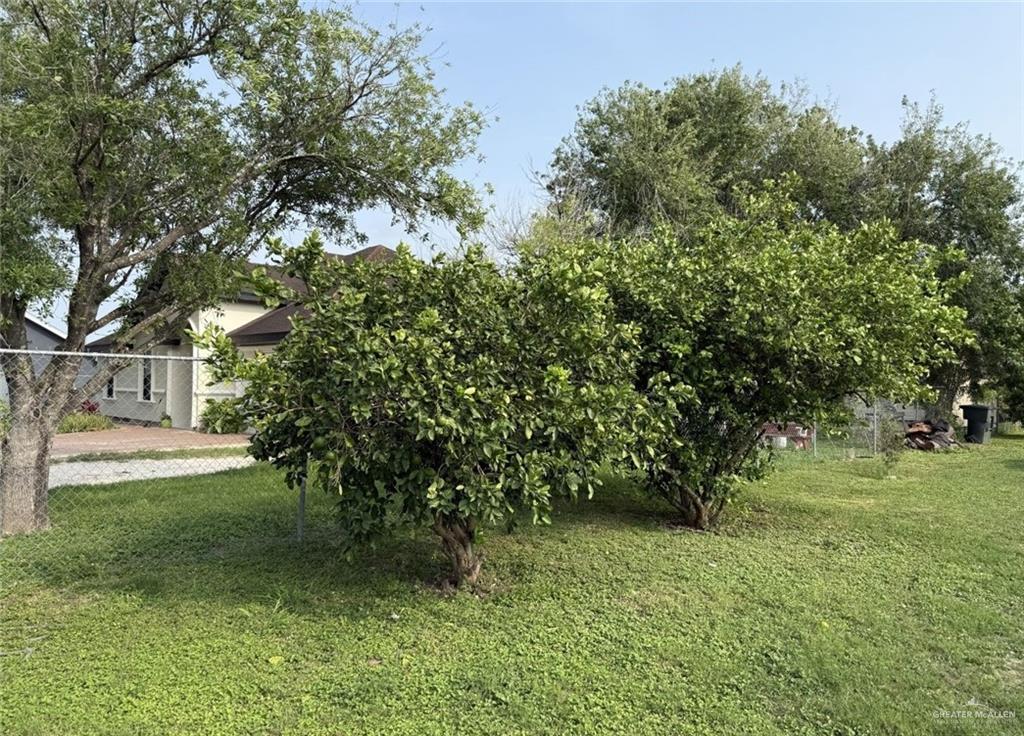 Photo 8 of 3120 Pine Street