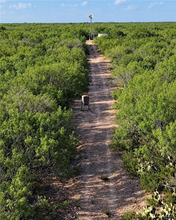 Photo 10 of 00001 FM 3167