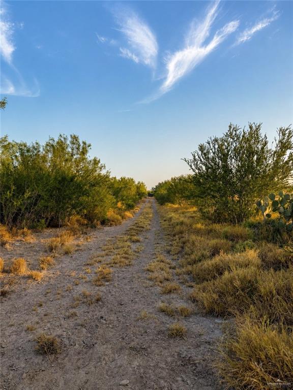 Photo 8 of 00001 FM 3167