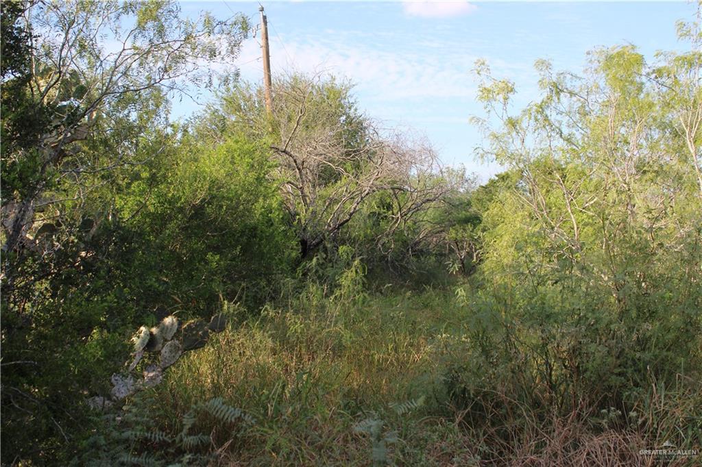 Photo 17 of 654 654 CR 3081 Road