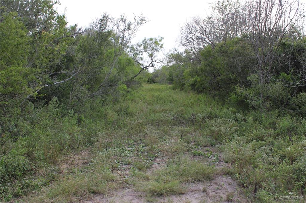 Photo 7 of 654 654 CR 3081 Road