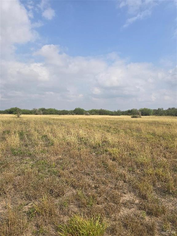 Land home at 0000 Davis Road, Edinburg, Texas